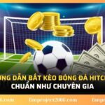 Bóng đá HitClub